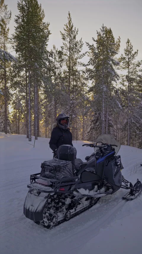 Experienced snowmobile guide standing amid towering pine trees, anticipatin.. Stock Footage 299012267