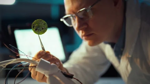 Experienced technician repairing printed circuit board in laboratory conditi Stock Footage 323767348