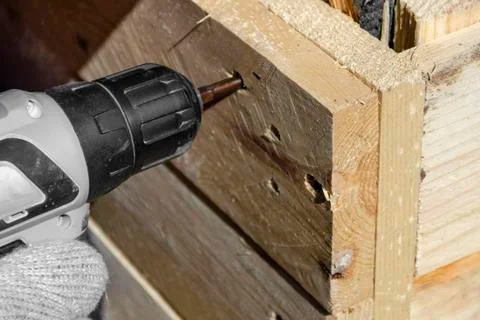 Experienced worker in a carpentry workshop creates a wooden product with raw Stock Photos