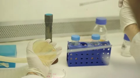 Experiment on a  chemical laboratory Stock Footage 47144823