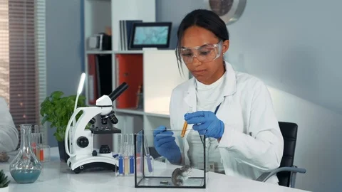 Experiment with lab mouse: mixed race female scientist using pipette to drop Stock Footage 115250869