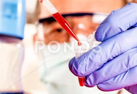 Experiment scientist in the microbiology laboratory Stock Photos