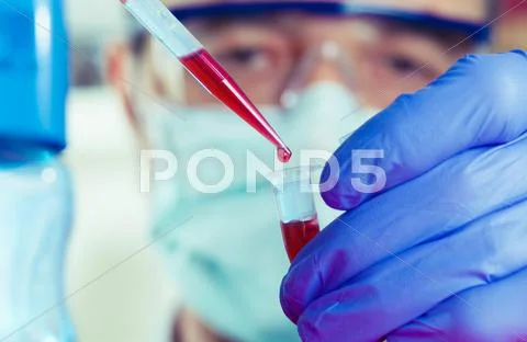 Experiment scientist in the microbiology laboratory Stock Photos