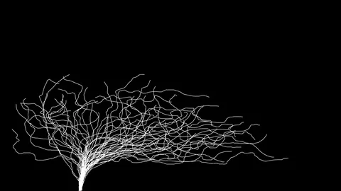 EXPERIMENTAL ANIMATION ART VIDEO (gravity no.17) Stock Footage 75323162