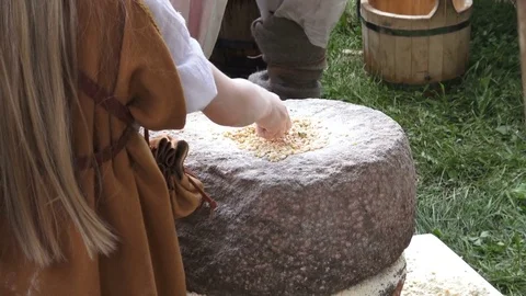 Experimental grinding and ancient flour production Stock Footage 81071045