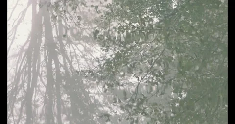 Experimental Reflections on Water on a Misty Fall Morning Stock Footage 291319958