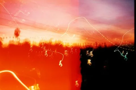 Experimental Tree Line Stock Photos