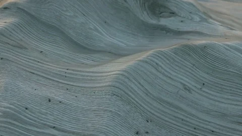 Experimental Wood landscape Stock Footage 69886210