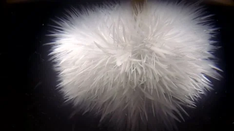 Experimenting of making ice in a jar Vídeo Stock 157750121