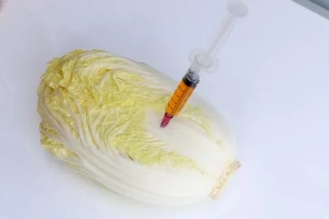 Experimenting with vegetables in the lab using chemical Foto stock
