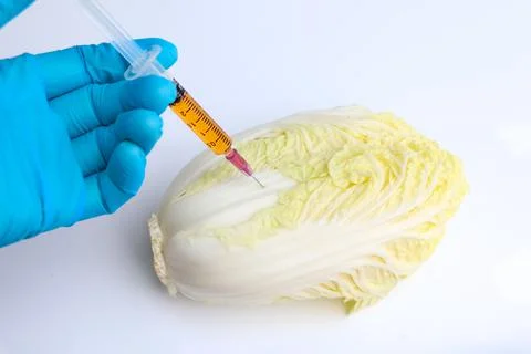 Experimenting with vegetables in the lab using chemical Fotos de archivo