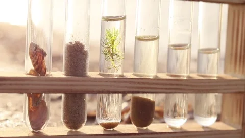 Experiments explore the beauty of nature through glass and color Stock-Footage 295284829