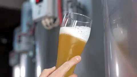 An expert with a beard evaluates freshly brewed beer from a beer glass while Stock Footage 169661298