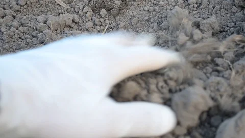 Expert checks the ground Stock Footage 108804241