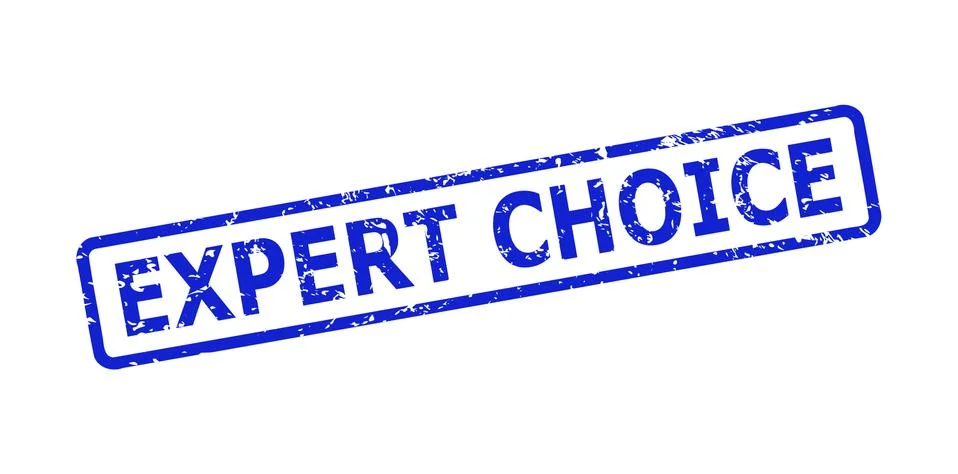 EXPERT CHOICE Stamp with Corroded Texture and Rounded Rectangle Frame 스톡 일러스트