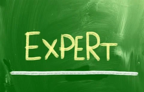 Expert concept Illustrazione stock