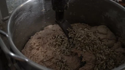 Expert Dough Kneading in Modern Machine Vídeo Stock 237512652