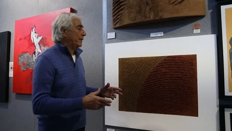 Expert explain art in Modern Art Gallery Stock Footage 123280412