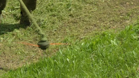 An expert gardener skillfully operating a weed whacker, ensuring precise grass Stock Footage 310908520