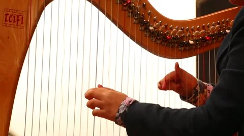 Expert Hands Playing Harp 動画素材 41292914