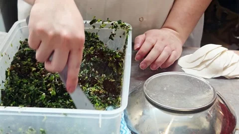 Expert hands shaping a Chinese dumpling and mixing the filling material Stock Footage 338286025