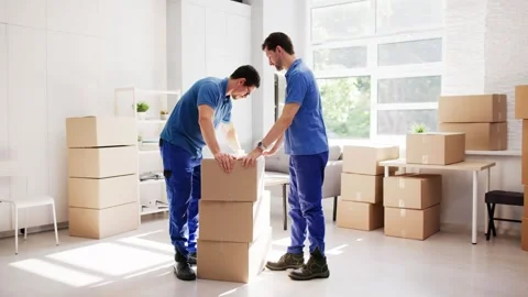 Expert House Movers Offering Professional Packing Stock Footage 313757036