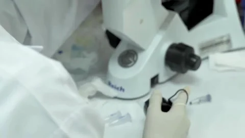 The expert Laboratory technicians use microscopes to analyze air samples. Stock Footage 336583799