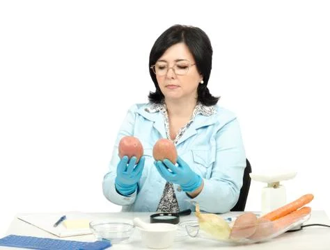 Expert looking at two red potatoes in laboratory Stock-Fotos