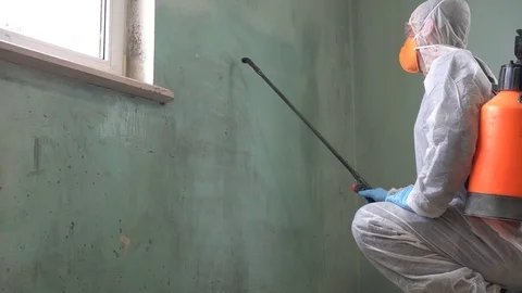 A Expert Man Cleaning and  Removing  Mold From Wall Using Pesticides Spray Stock Footage 120546182