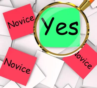 Expert novice post-it papers mean professional or learner Illustrazione stock