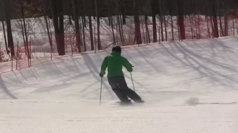 Expert skier from behind Video stock 41529965