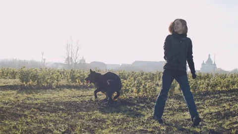 Expert trainer teaches dog to fetch at a sunny field with a handler and sheepdog Video stock 320453607