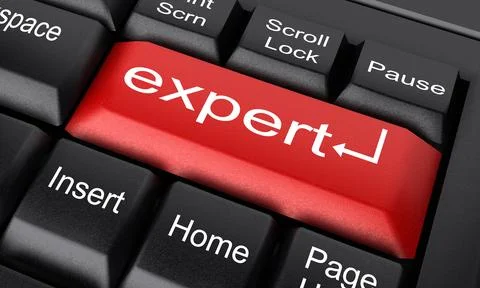 Expert word on red keyboard button Stock Illustration