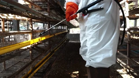 Experts are injecting a chemical to kill germs that contaminate Vídeos de archivo 147546506