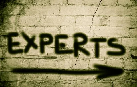 Experts Concept Stock Illustration