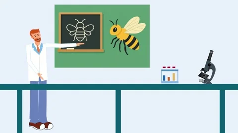 Explainer Stock Footage 322890822