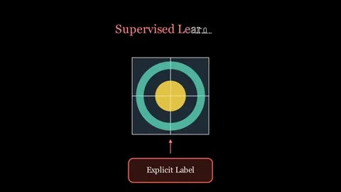 Explaining the Self Supervised Learning Видео 337844192