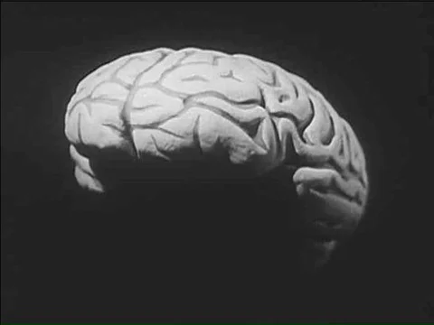 Explanation of the function of the brain in the 1950s. Stock Footage 75292526