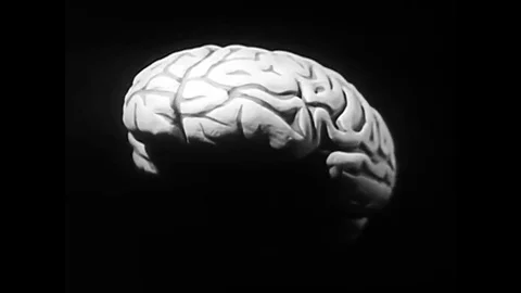 Explanation of the function of the brain in the 1950s. Stockbeeldmateriaal 83165415