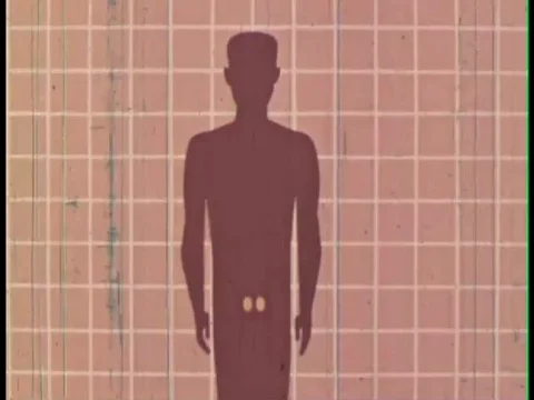 Explanation of the function of the testes in the 1960s. Stock Footage 75292510