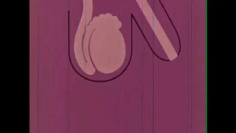 Explanation of the function of the testes in 1962. 스톡 동영상 152665290
