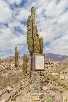 Explanatory poster of the archeology technique used in the Tilcara ruins in.. 스톡 사진