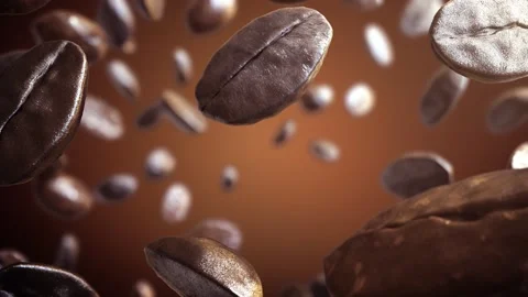 Exploded and transition coffee seed. Stock Footage 166805692