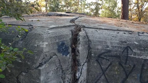 Exploded bunker of the Second World War in Ukraine Video stock 290082368