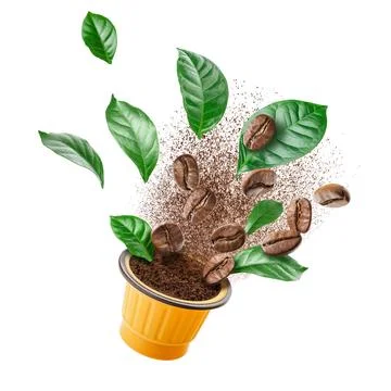 Exploded view of coffee grinder with roasted beans and leaves Stock Photos