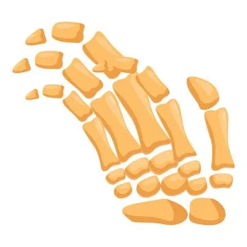 Exploded view of human foot bones showing tarsals, metatarsals, and phalanges Stock Illustration