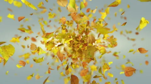 Exploding autumn leafs background Stock Footage 114054252