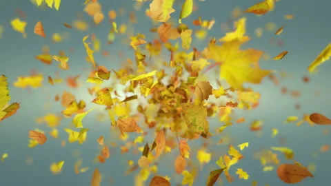Exploding autumn leafs background Stock-Footage 114054605
