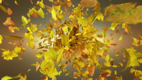 Exploding autumn leafs background Stockbeeldmateriaal 114054632