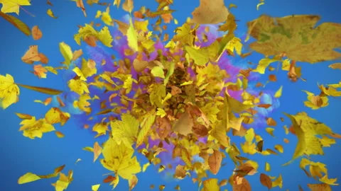 Exploding autumn leafs background Vídeos de archivo 114054707